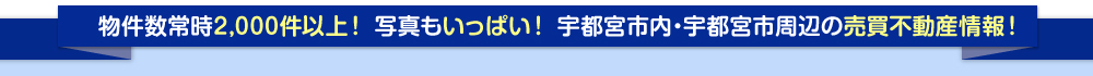 タイトル